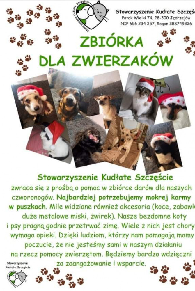 Plakat promujący akcję zbiórki dla zwierząt. Akcja organizowana przez Stowarzyszenie Kudłate Szczęście